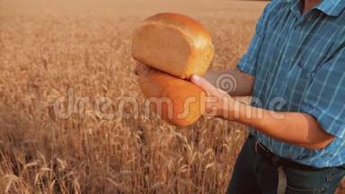 <strong>老农</strong>夫面包师拿着一个金色的面包和面包在麦田对抗蓝天。 慢动作视频。 生活方式